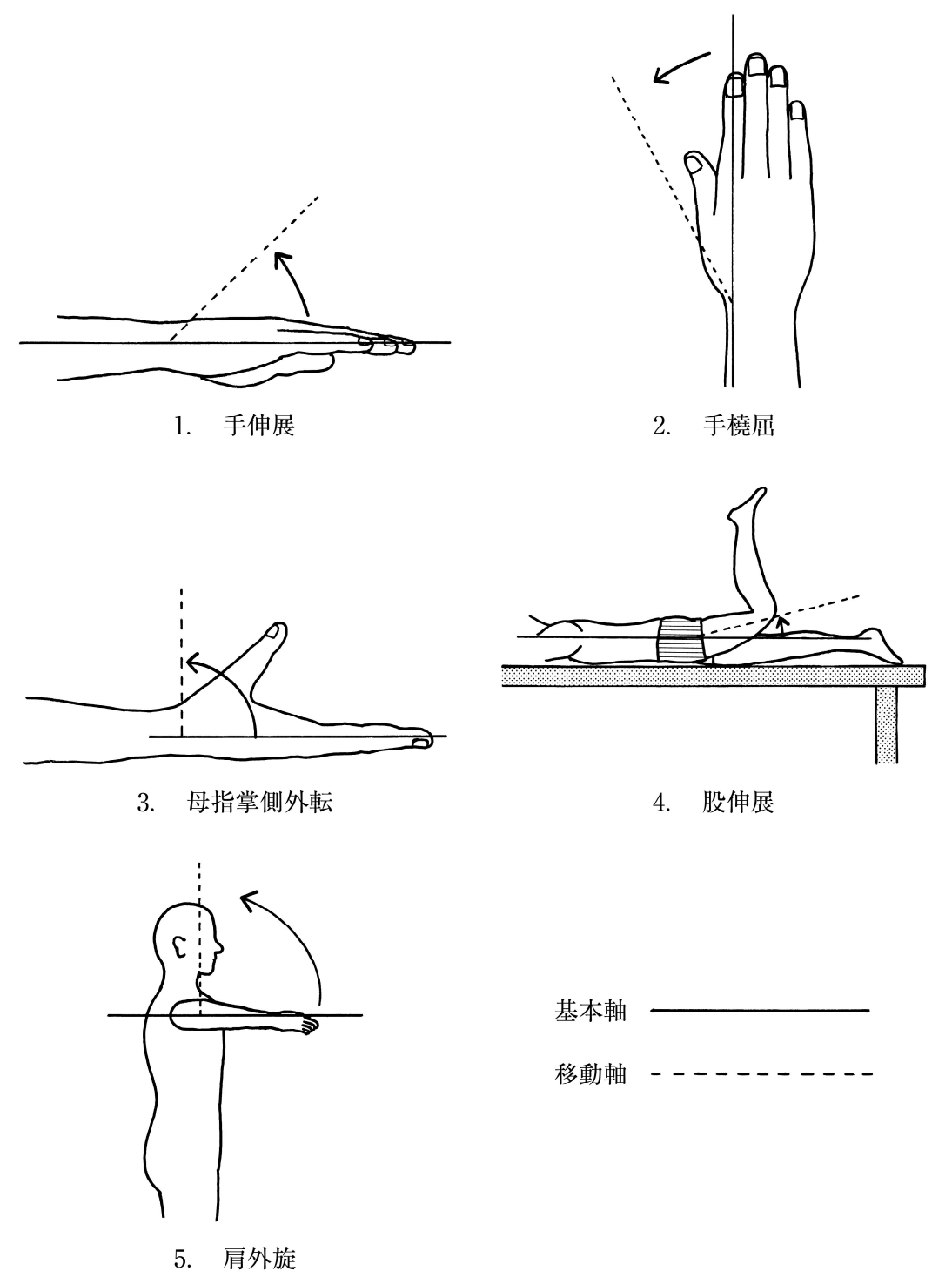 関節可動域測定法 日本整形外科学会 日本リハビリテーション医学会基準による で正しいのはどれか 2