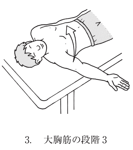 日本人気超絶の ケンダルの筋力テスト法 VHS 健康/医学 - www.global ...